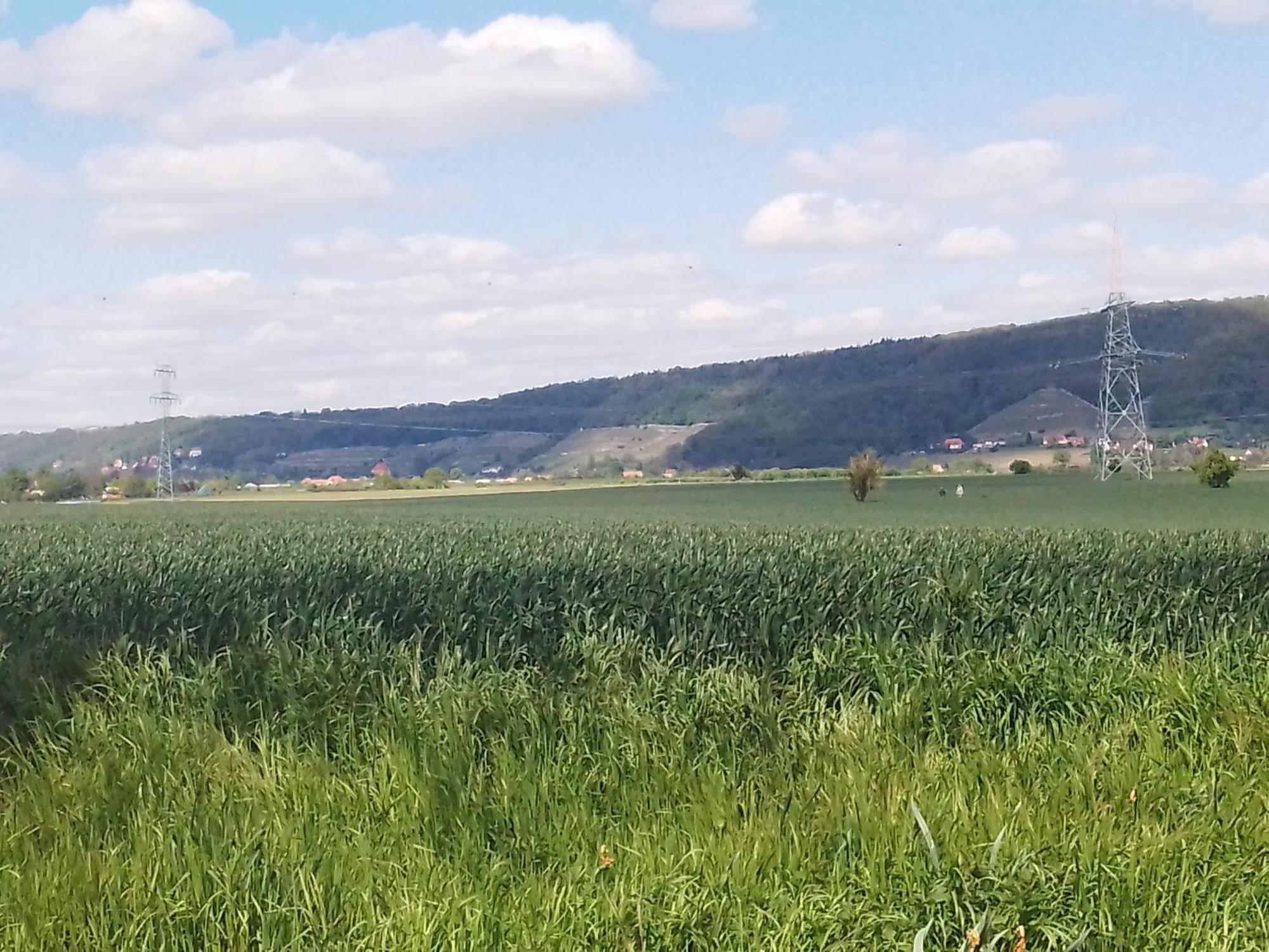 Dresden-Entspannung-Natur-Trifft-2-Staedte-Am-Fluss Eksteriør bilde